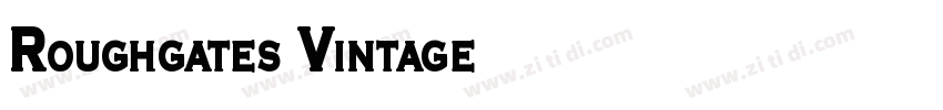 Roughgates Vintage字体转换